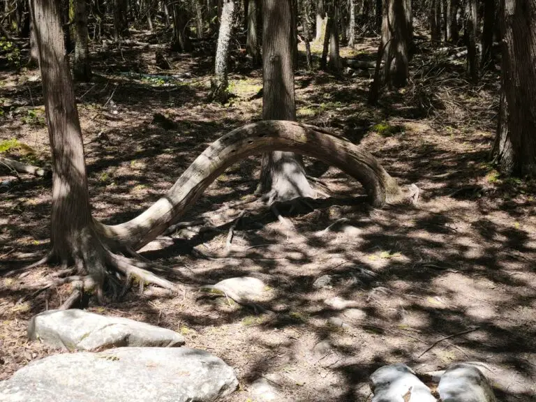 Bruce Peninsula National Park: The Grotto – Foto 10