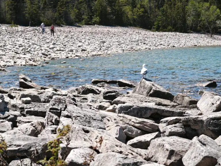 Bruce Peninsula National Park: The Grotto – Foto 20
