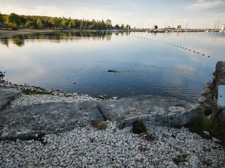 Bruce Peninsula National Park: The Grotto – Foto 40