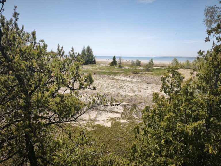 Singing Sands am Lake Huron – Foto 3
