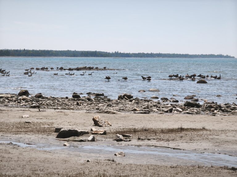 Singing Sands am Lake Huron – Foto 5
