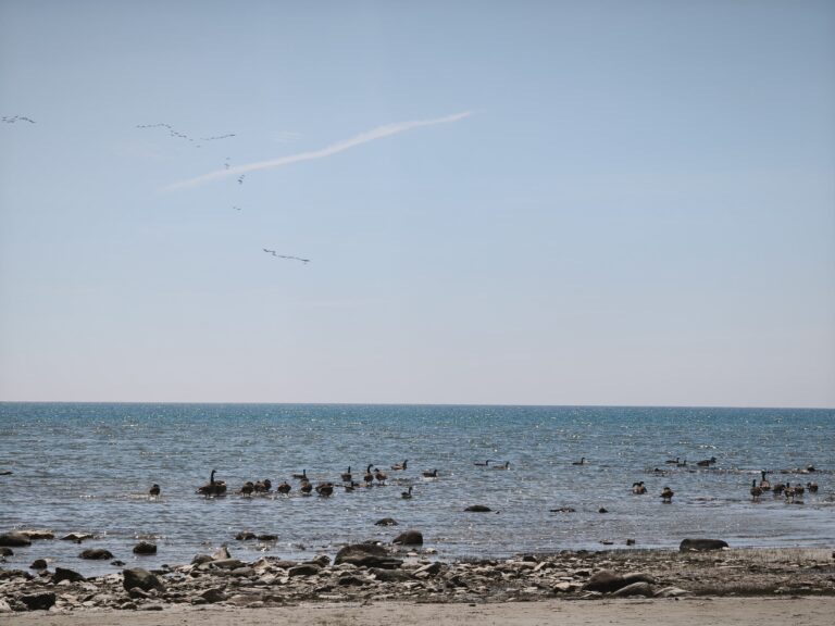 Singing Sands am Lake Huron – Foto 7