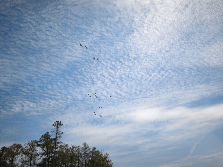 Singing Sands am Lake Huron – Foto 10