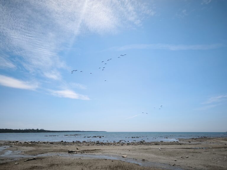 Singing Sands am Lake Huron – Foto 11