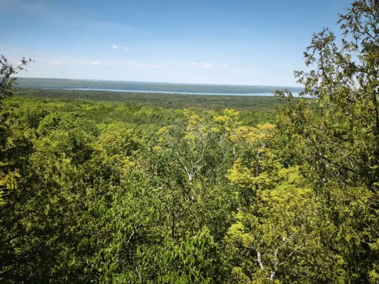 Cup and Saucer Trail und Providence Bay – Foto 5
