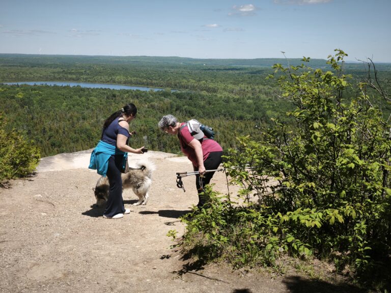 Cup and Saucer Trail und Providence Bay – Foto 17