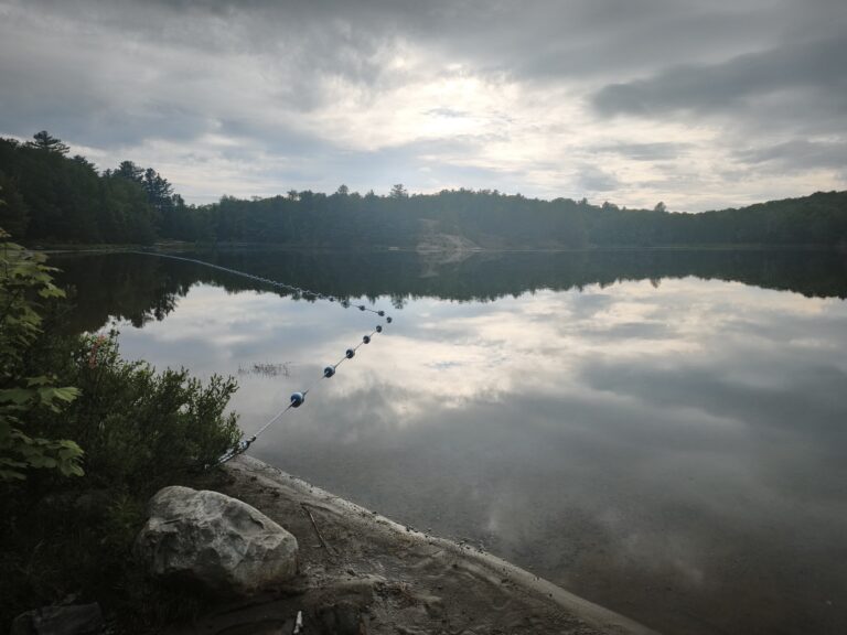 Fahrt in den Killarney Provincial Park – Foto 10
