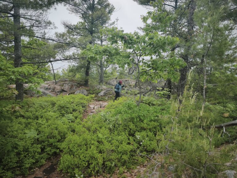 Hike zum Granite Ridge – Foto 3