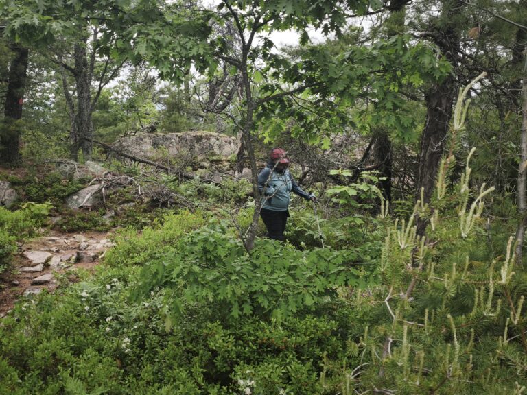 Hike zum Granite Ridge – Foto 4