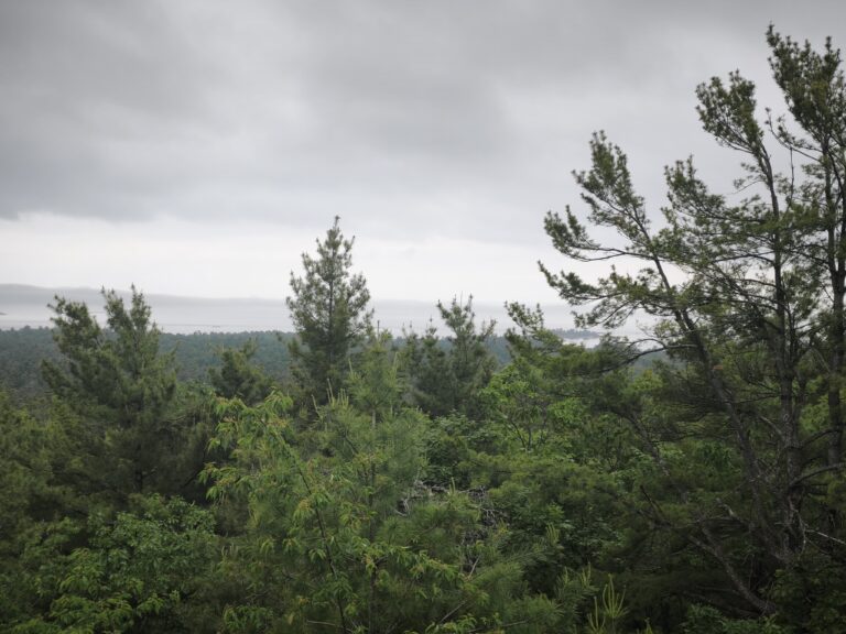 Hike zum Granite Ridge – Foto 5