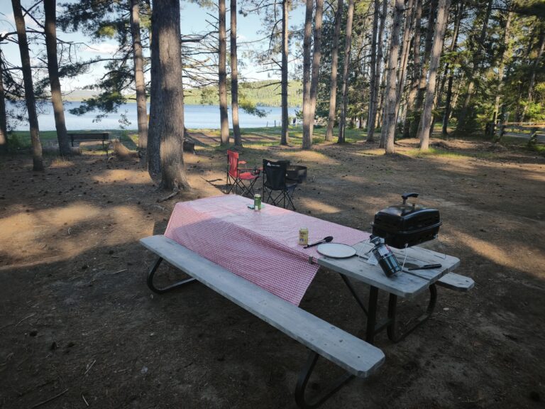 Zwischenstation im Algonquin Provincial Park – Foto 7