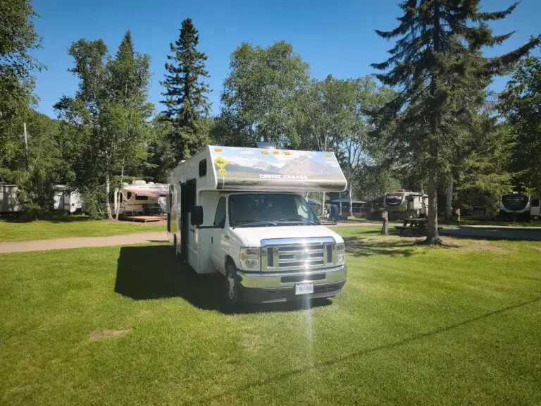 Haskap-Farm am Lac Saint-Jean – Foto 1