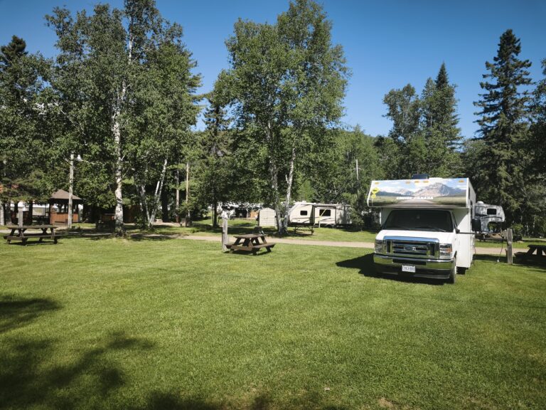 Haskap-Farm am Lac Saint-Jean – Foto 2