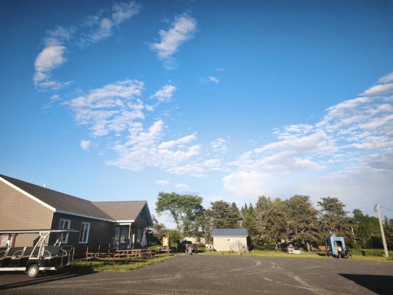 Haskap-Farm am Lac Saint-Jean – Foto 28