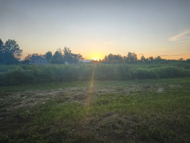 Haskap-Farm am Lac Saint-Jean – Foto 30