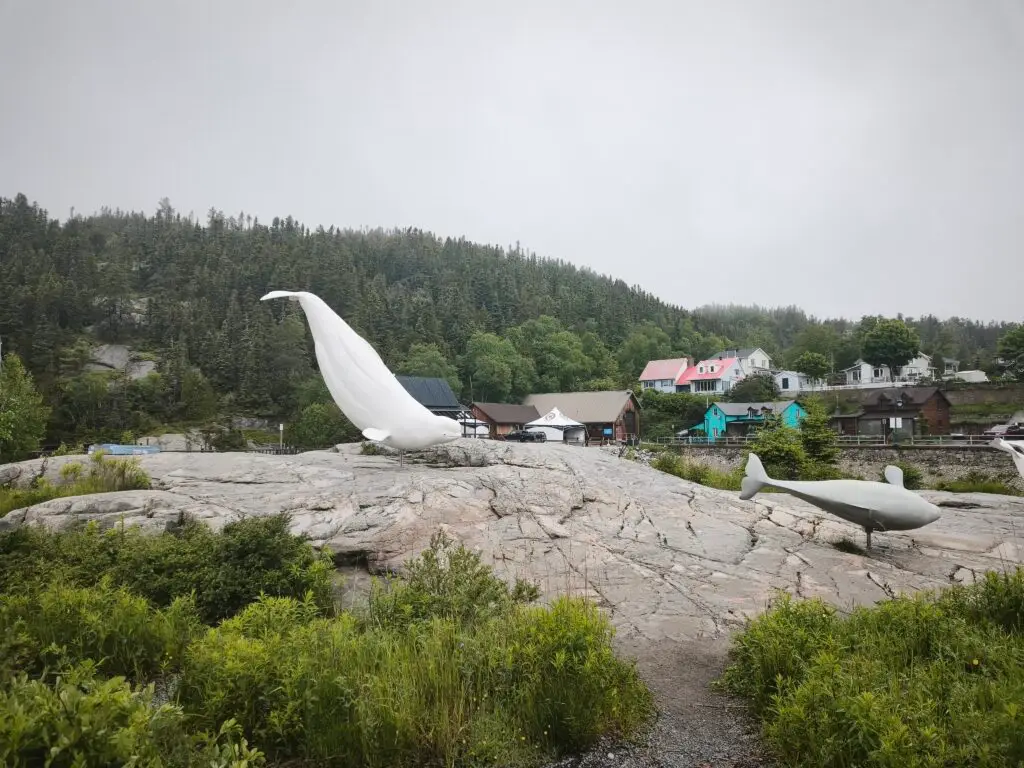 Regen in Tadoussac, weiter Richtung Québec – Foto 8