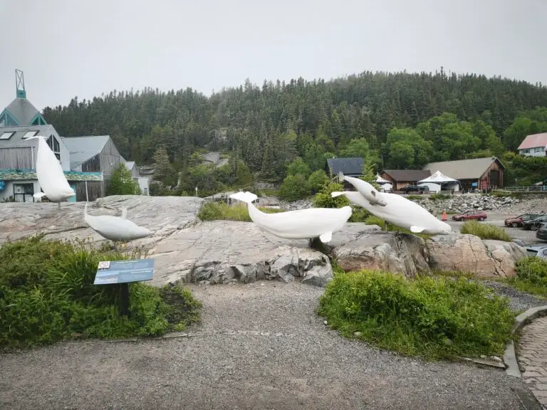 Regen in Tadoussac, weiter Richtung Québec – Foto 9