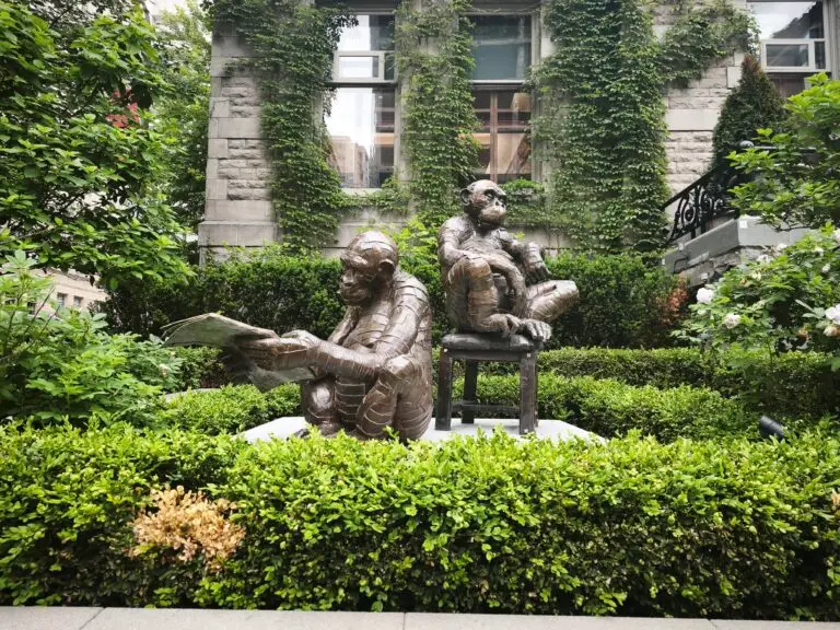 Mont Royal und Downtown Montréal – Foto 15