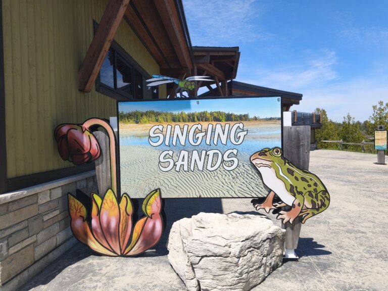 Singing Sands am Lake Huron – Foto 17 (Sabine)
