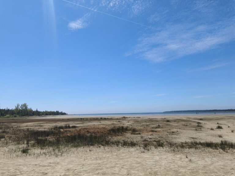 Singing Sands am Lake Huron – Foto 18 (Sabine)