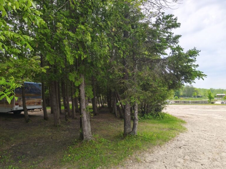 Mit der Fähre nach Manitoulin Island – Foto 15 (Sabine)