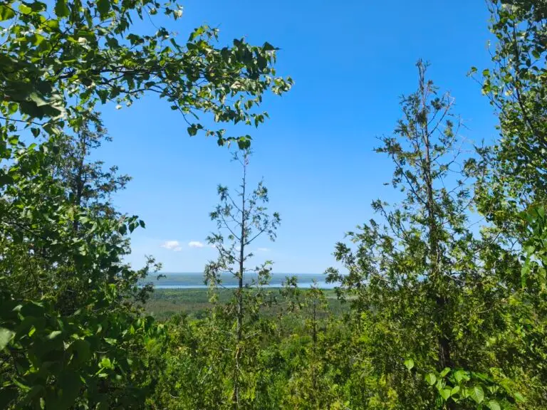 Cup and Saucer Trail und Providence Bay – Foto 32 (Sabine)
