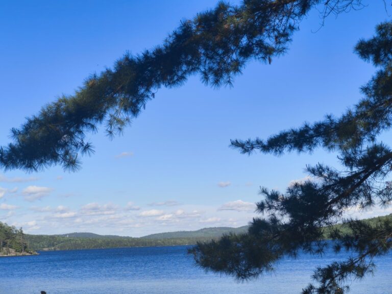 Zwischenstation im Algonquin Provincial Park – Foto 3 (Sabine)
